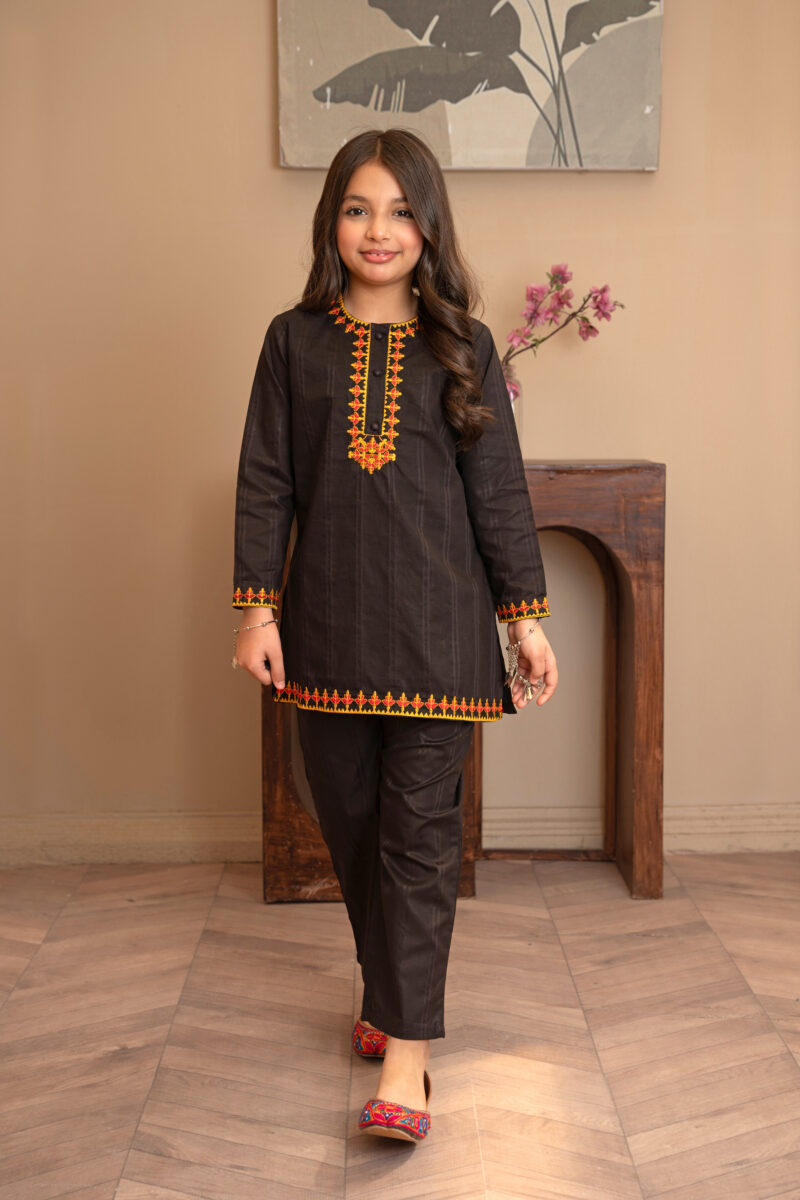 Majestic Noir – Ethnic Embroidered Suit 2 Piece