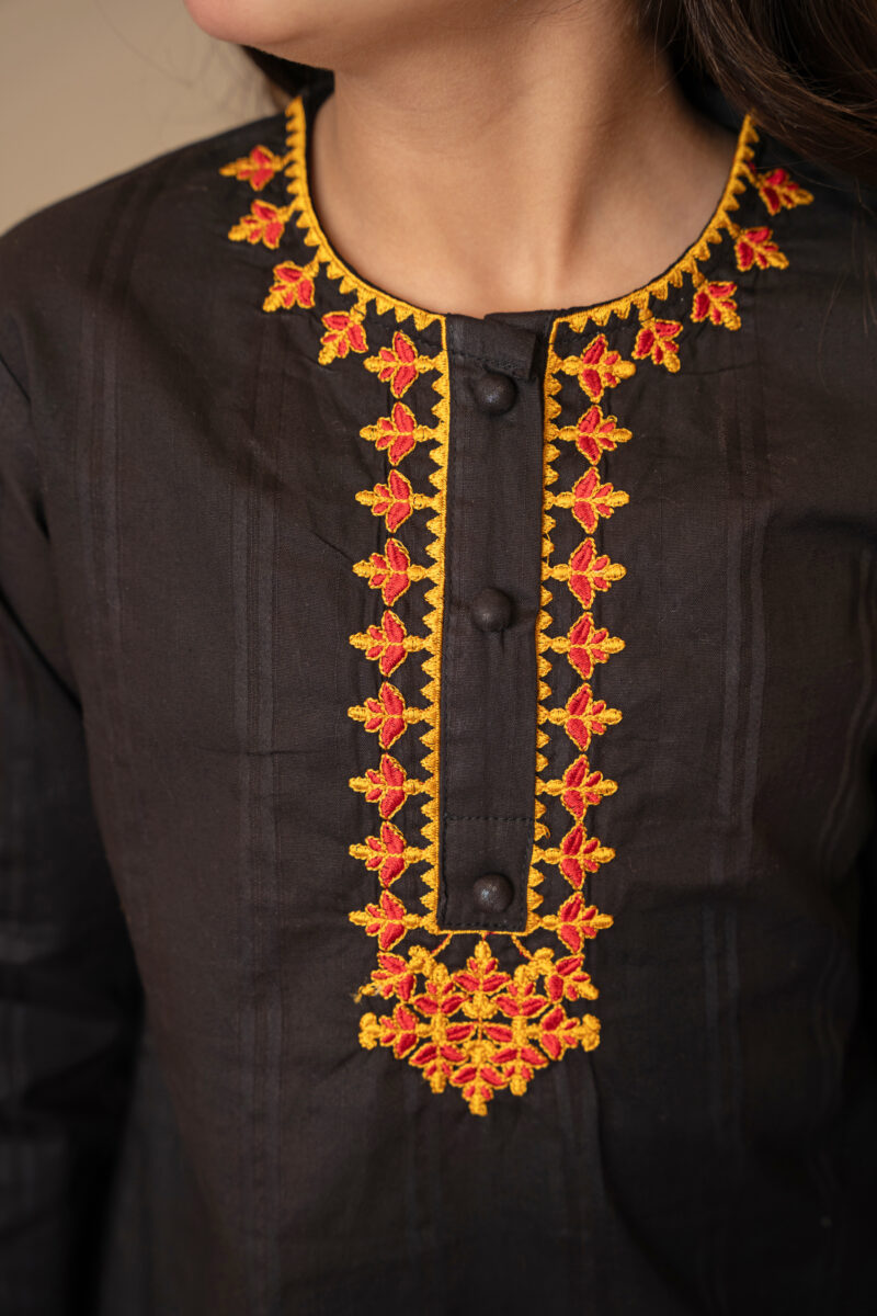Majestic Noir – Ethnic Embroidered Suit 2 Piece - Image 4