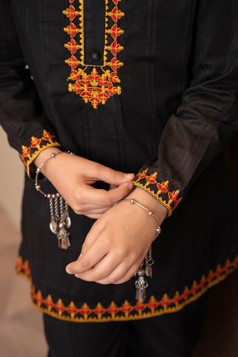 Majestic Noir – Ethnic Embroidered Suit 2 Piece - Image 5