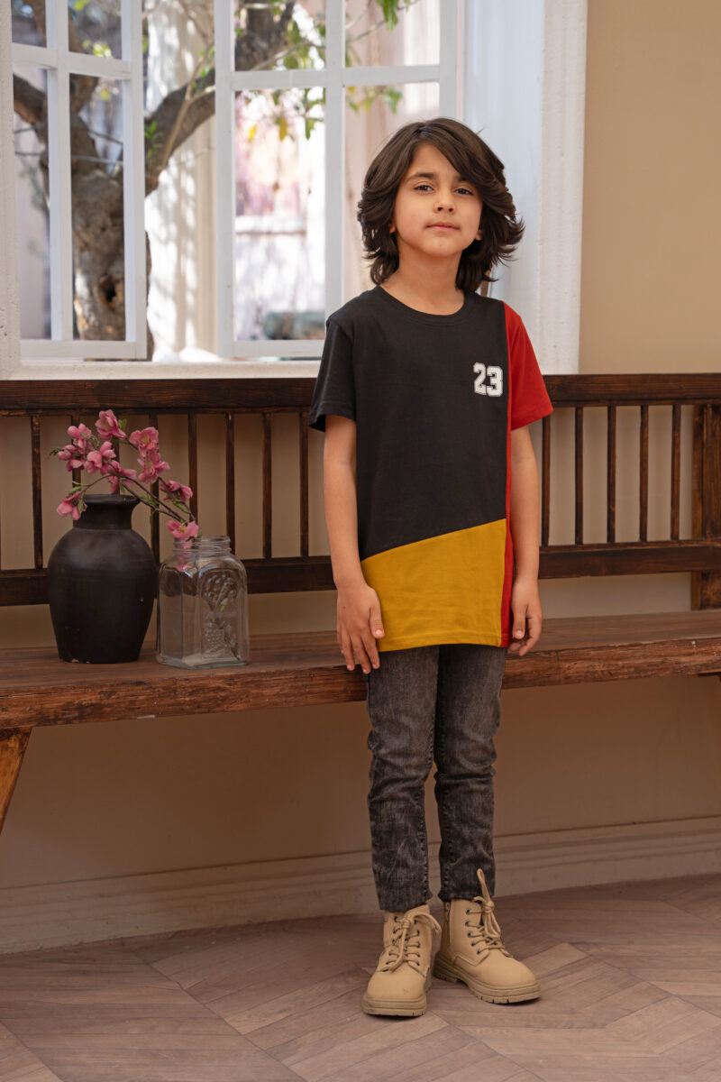 Tri-Color Panel T-Shirt