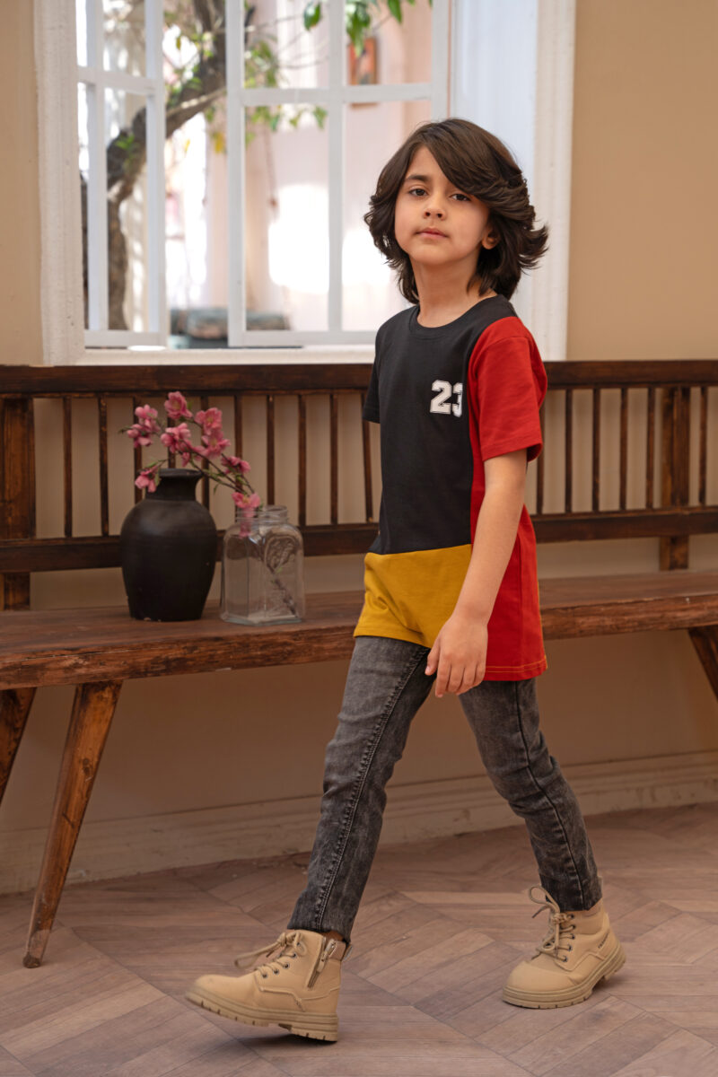 Tri-Color Panel T-Shirt - Image 4